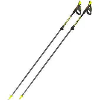 Palice Fizan CARBON PRO model 2024, Nordic Walking